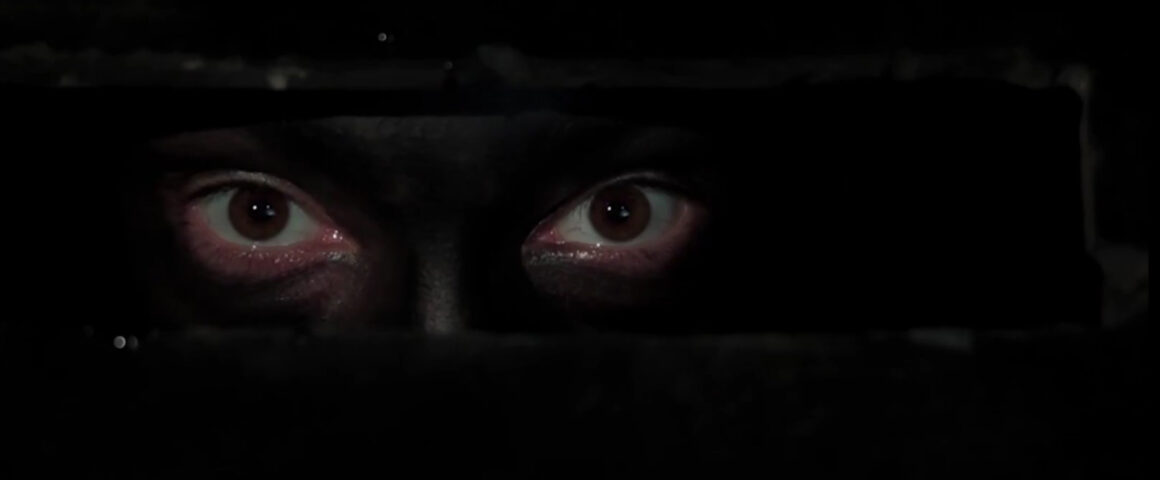 A Taste of Phobia (2017) by The Critical Movie Critics