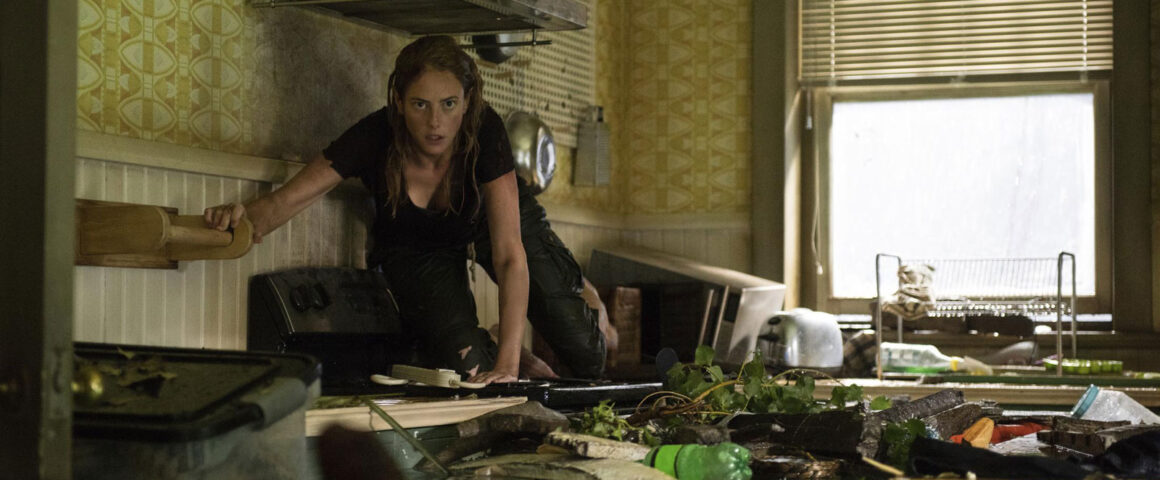 Crawl (2019) by The Critical Movie Critics