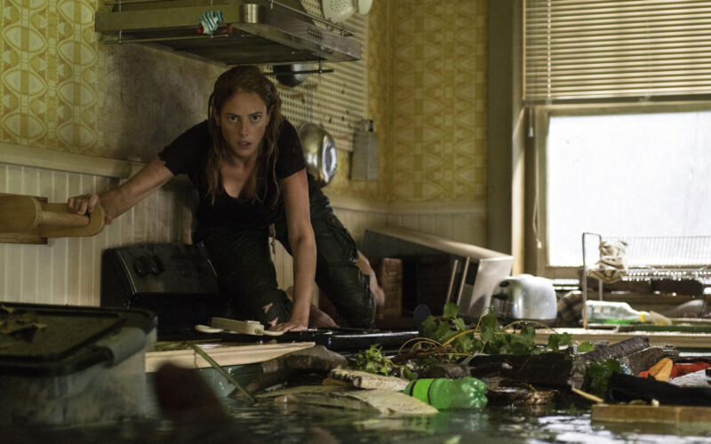 Crawl (2019) by The Critical Movie Critics