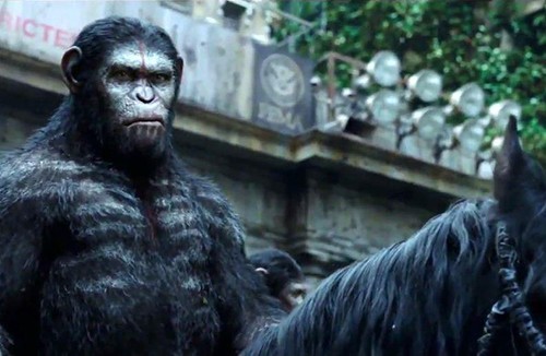 Movie Review:  Dawn of the Planet of the Apes (2014)