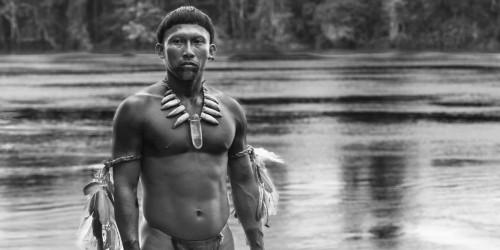 Movie Review:  Embrace of the Serpent (2015)