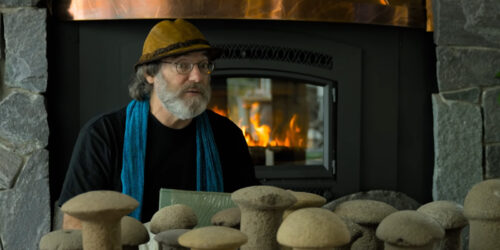Movie Review:  Fantastic Fungi (2019)