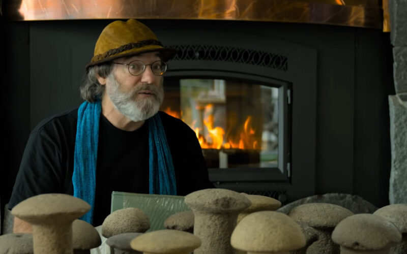 Fantastic Fungi (2019) by The Critical Movie Critics