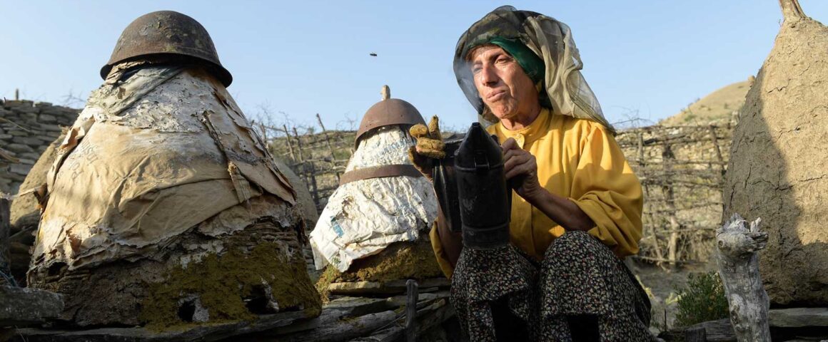 Honeyland (2019) by The Critical Movie Critics