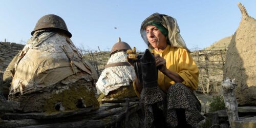 Movie Review:  Honeyland (2019)