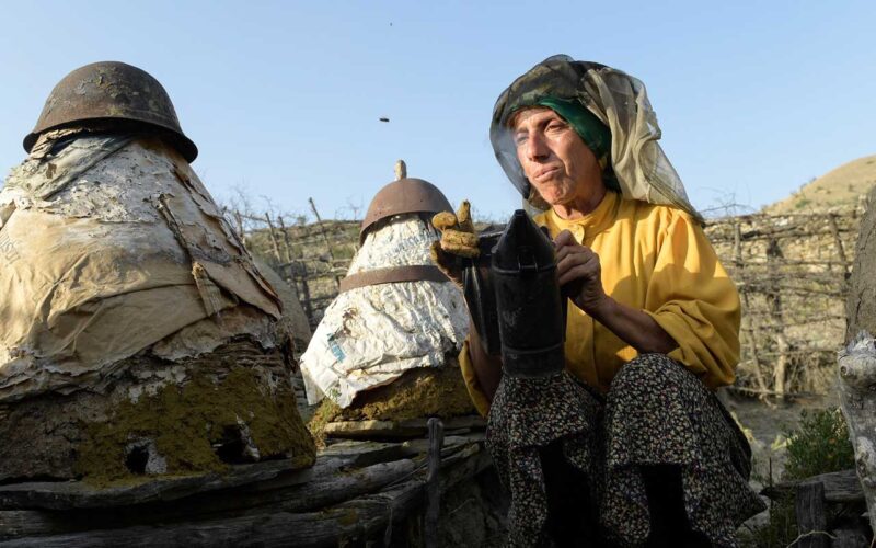 Honeyland (2019) by The Critical Movie Critics