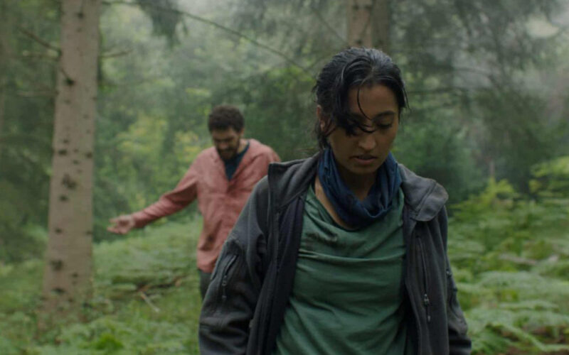 In the Earth (2021) by The Critical Movie Critics
