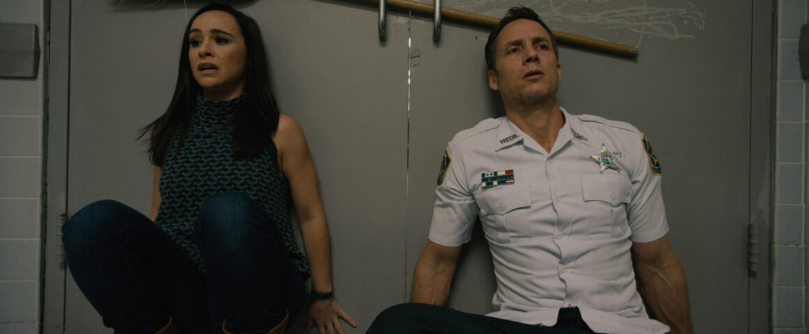 Inoperable (2017) by The Critical Movie Critics