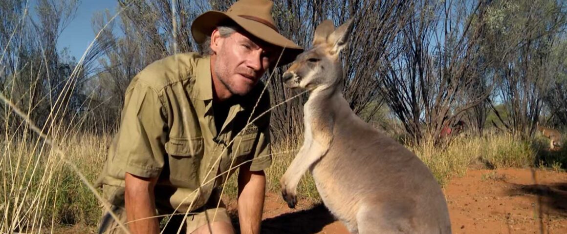 Kangaroo (2017) by The Critical Movie Critics