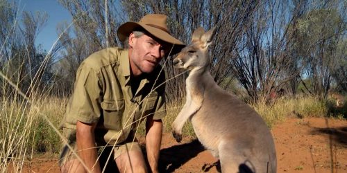 Movie Review:  Kangaroo: A Love-Hate Story (2017)