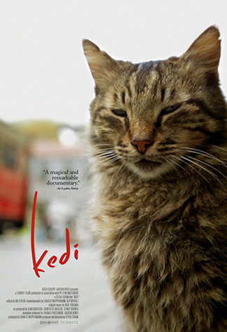 Kedi (2016) by The Critical Movie Critics
