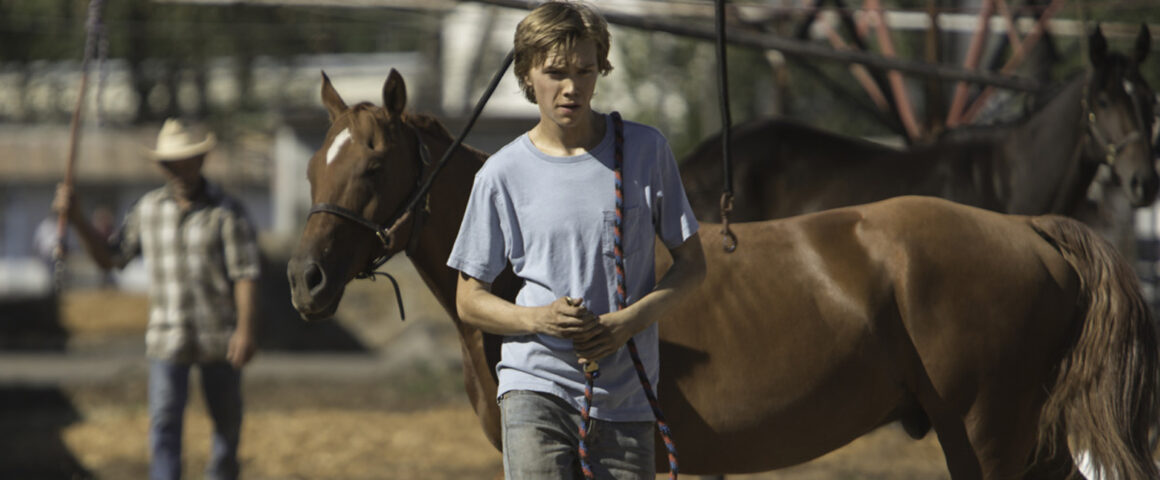 Lean on Pete (2017) by The Critical Movie Critics