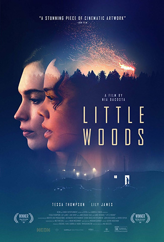 Little Woods (2018) by The Critical Movie Critics