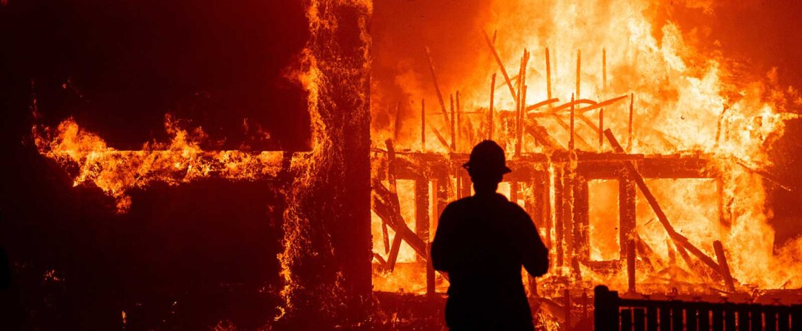 Rebuilding Paradise (2020) by The Critical Movie Critics