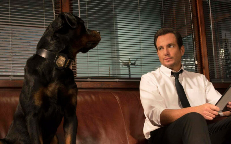 Show Dogs (2018) by The Critical Movie Critics
