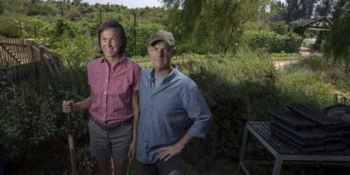Movie Review:  The Biggest Little Farm (2018)