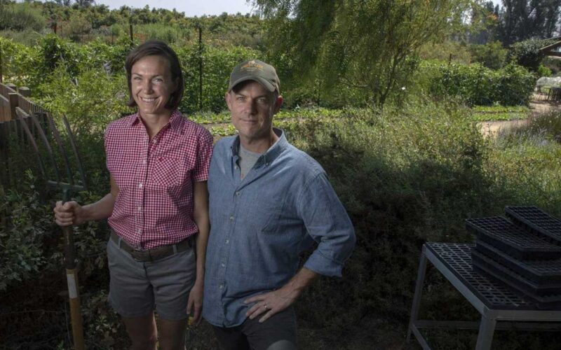 The Biggest Little Farm (2018) by The Critical Movie Critics