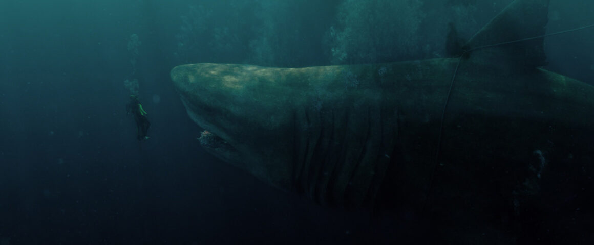 The Meg (2018) by The Critical Movie Critics