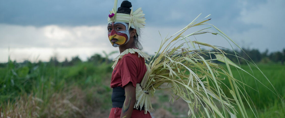 The Seen and the Unseen (2017) by The Critical Movie Critics
