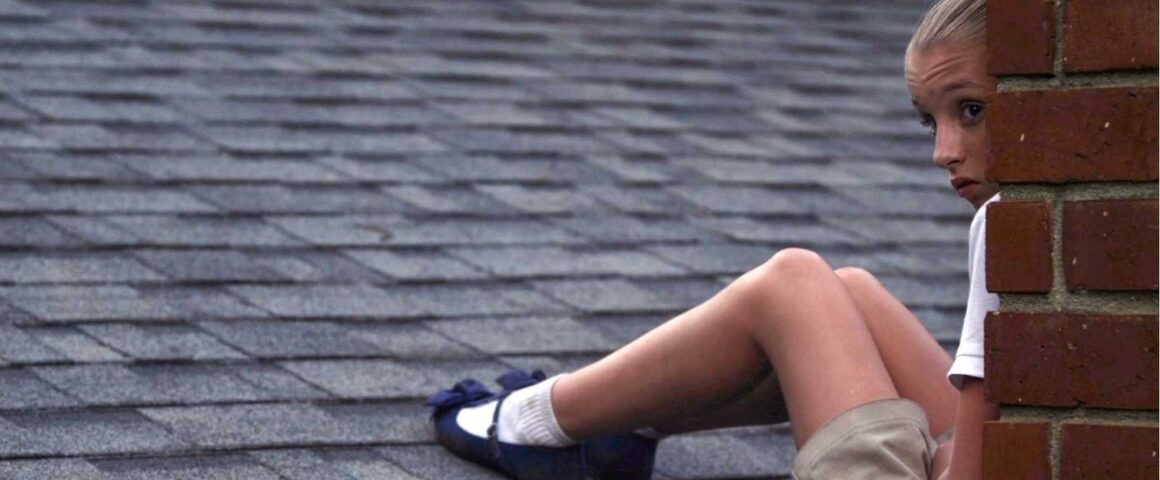 The Girl on the Roof (2014) by The Critical Movie Critics