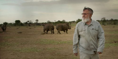 Movie Review:  Trophy (2017)