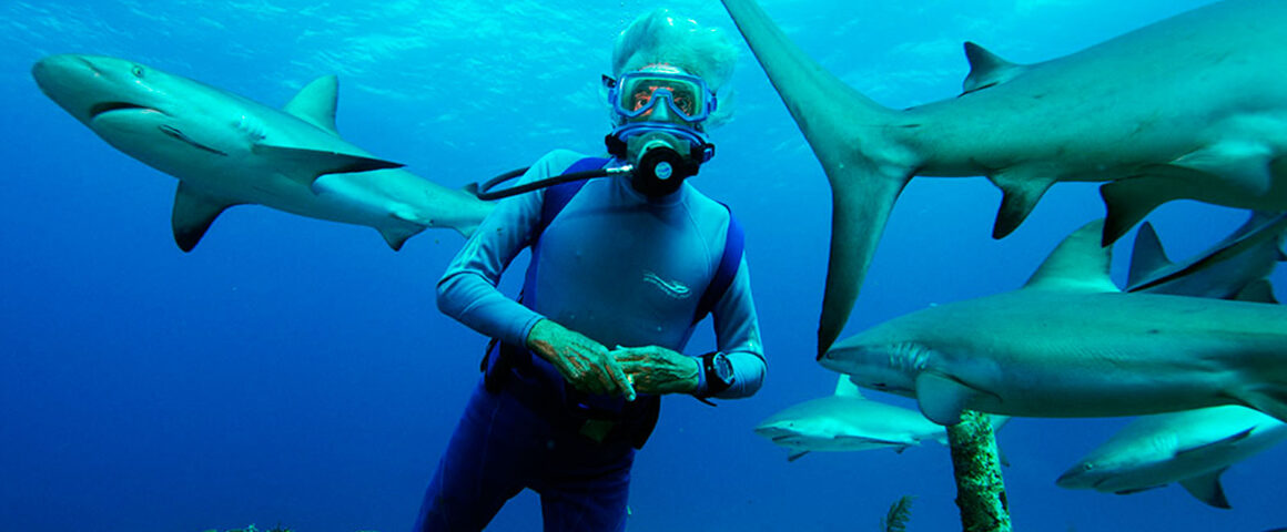 Wonders of the Sea (2017) by The Critical Movie Critics