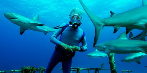Movie Review:  Wonders of the Sea (2017)